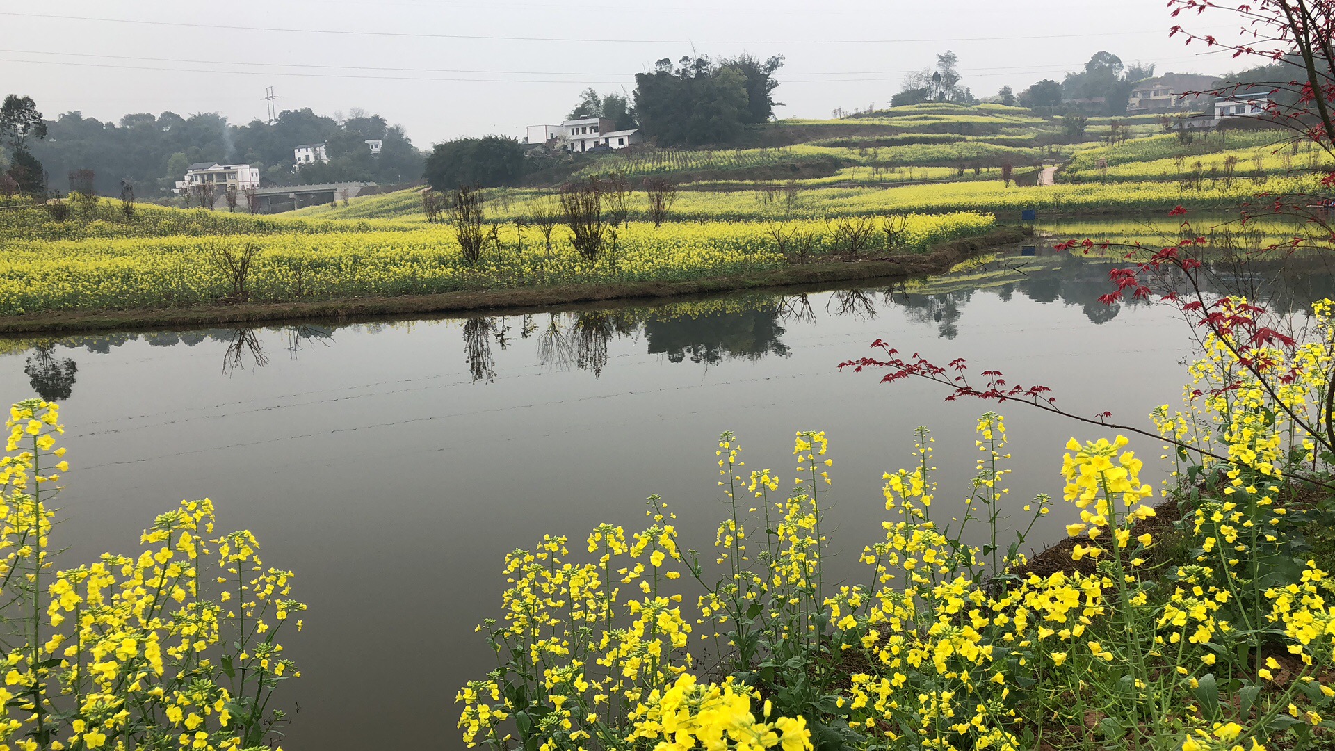 �o���Џ����(zh��n)�����һ��]�Ŀ